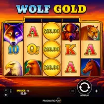 WildRobin - Wolf Gold Slot Game - Pragmatic Play